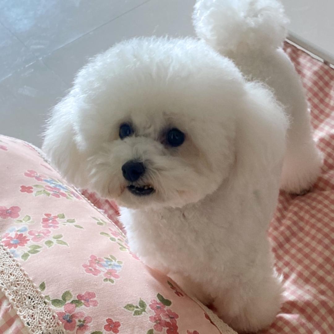 甜心👑