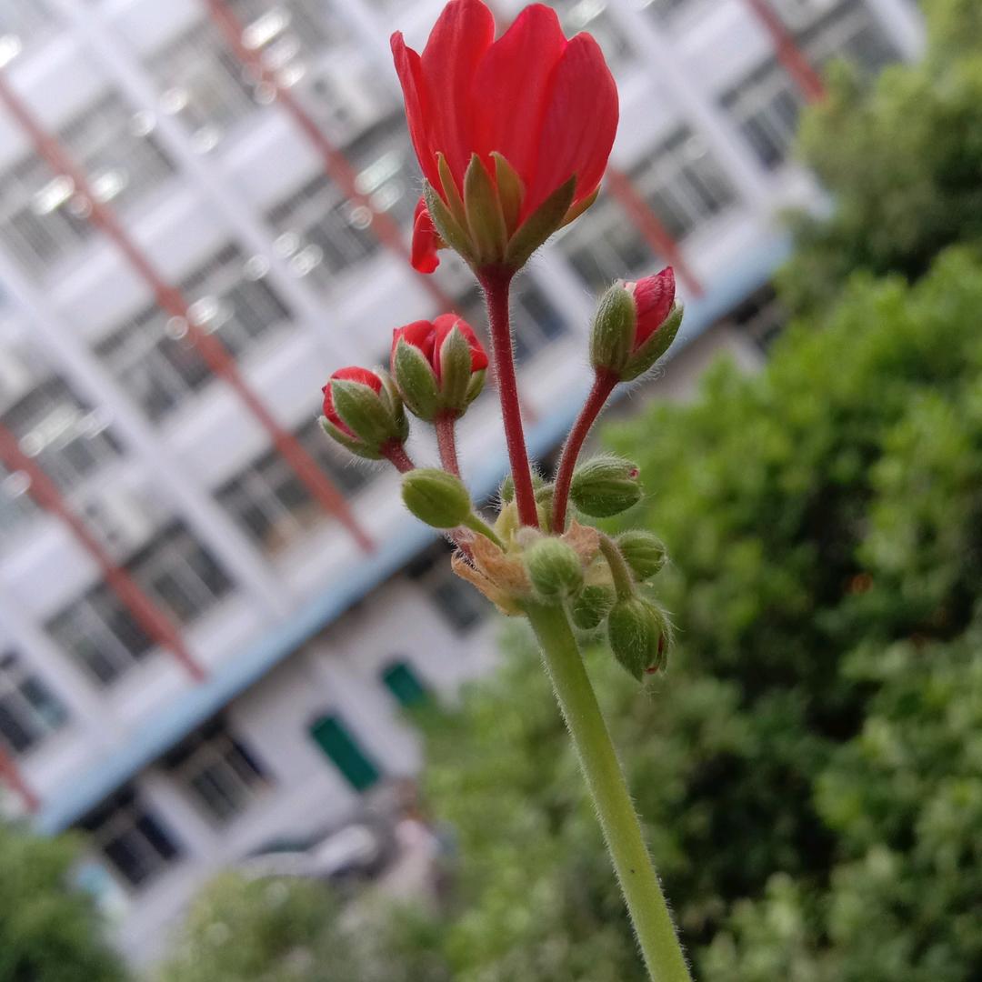 大道至简