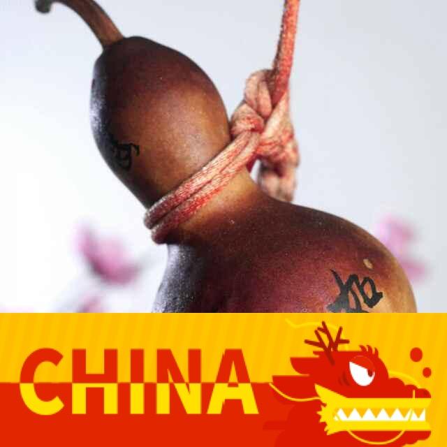 杏林之叶