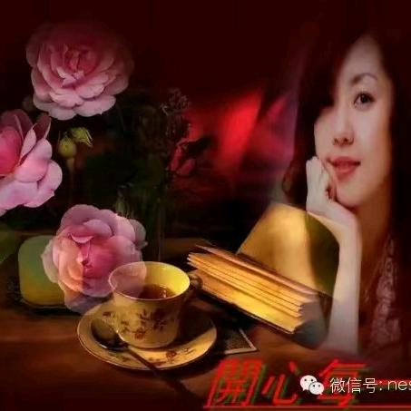 就让往事随风走