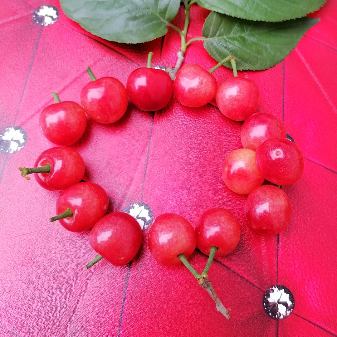 小宝
