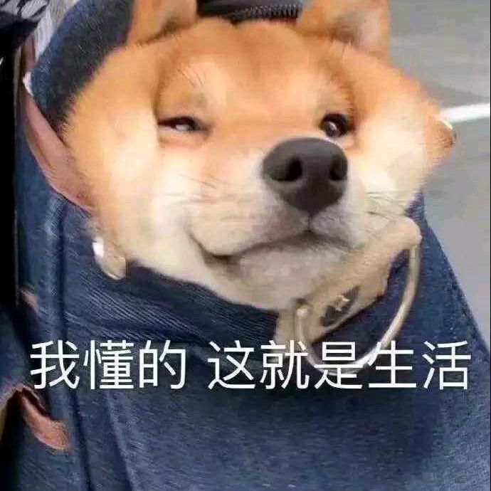 图兔兔那么可爱