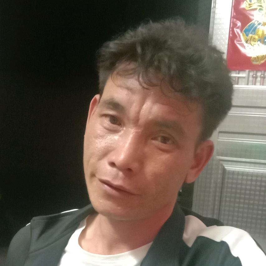 《春天的故事》