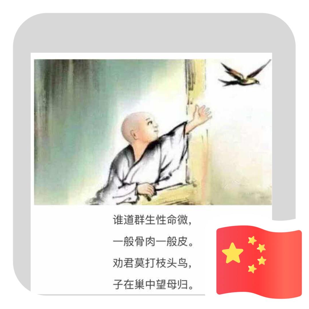 花儿爱太阳