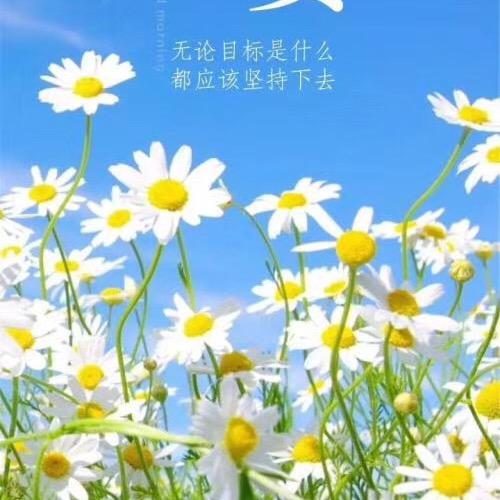 凡凡妈