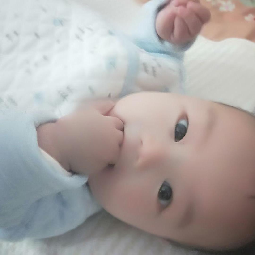 小耗子2020