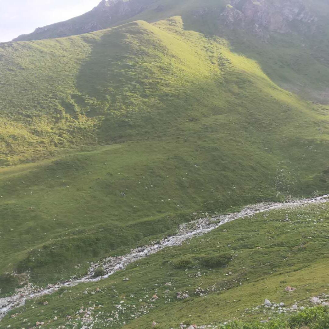 园霍霍云游四方~~