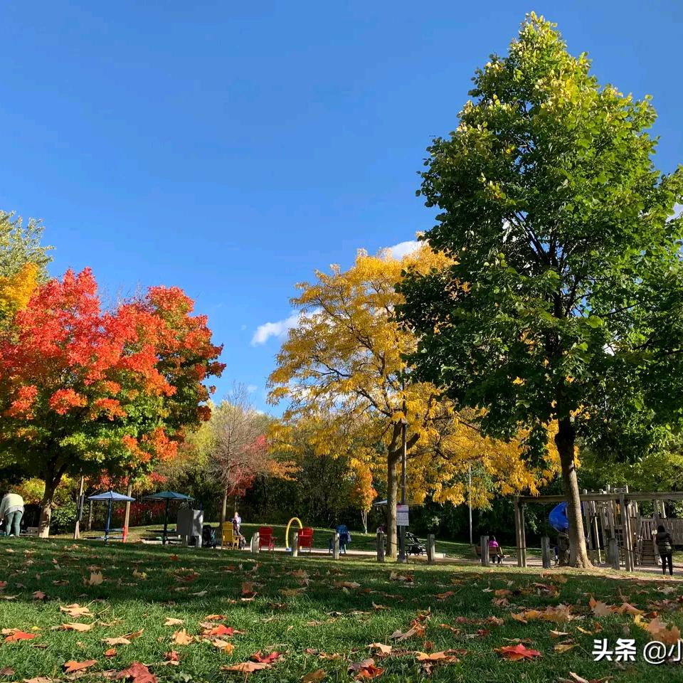 翠绿青山