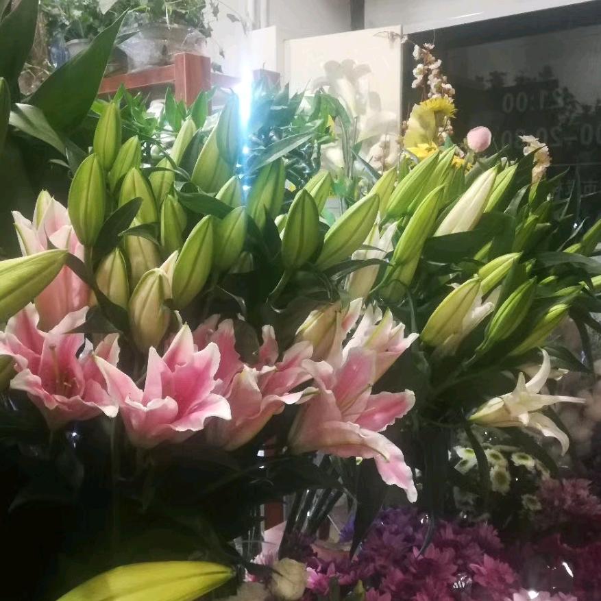 用户9039022720700最美杭州