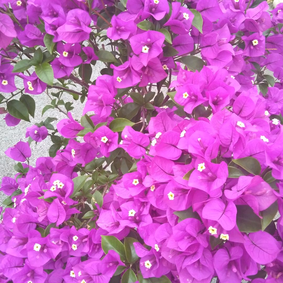 义乌市天雅箱包