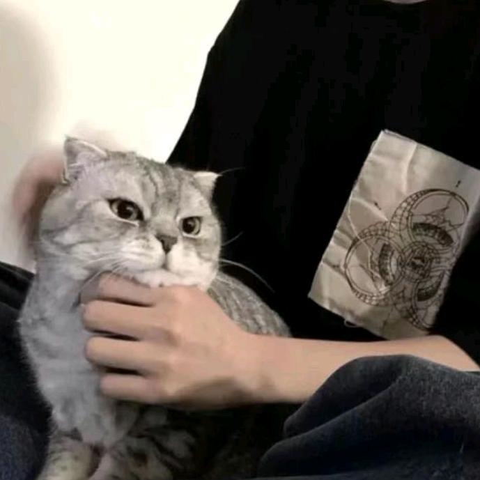 还能再吃点!!!