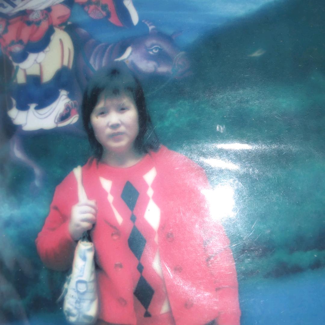 蝴蝶花(倪仕英)