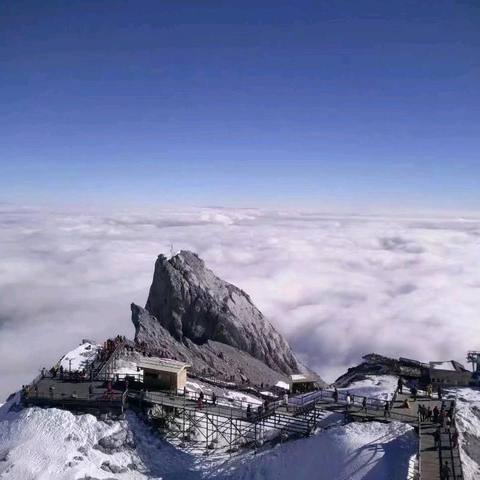 想像风一样自由