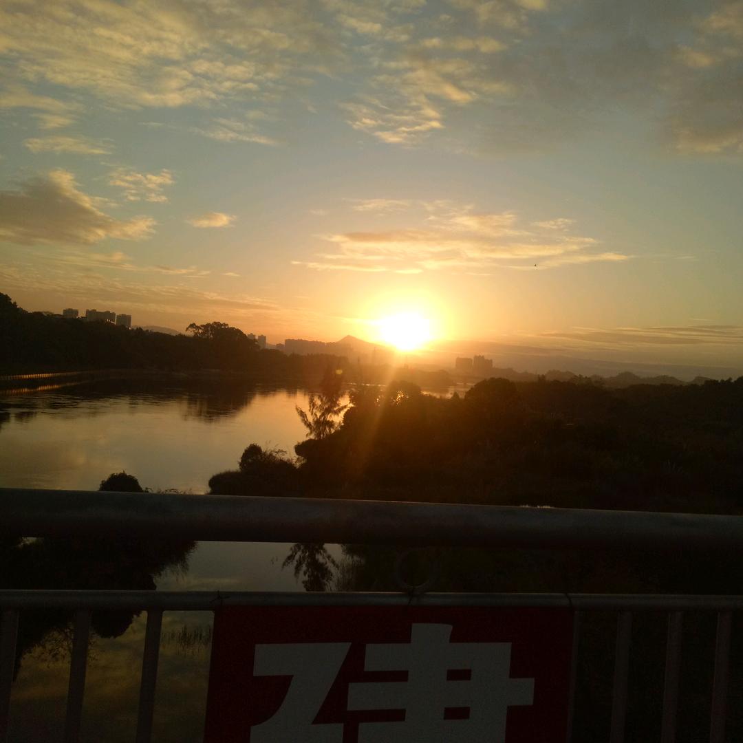 一枝花🌸