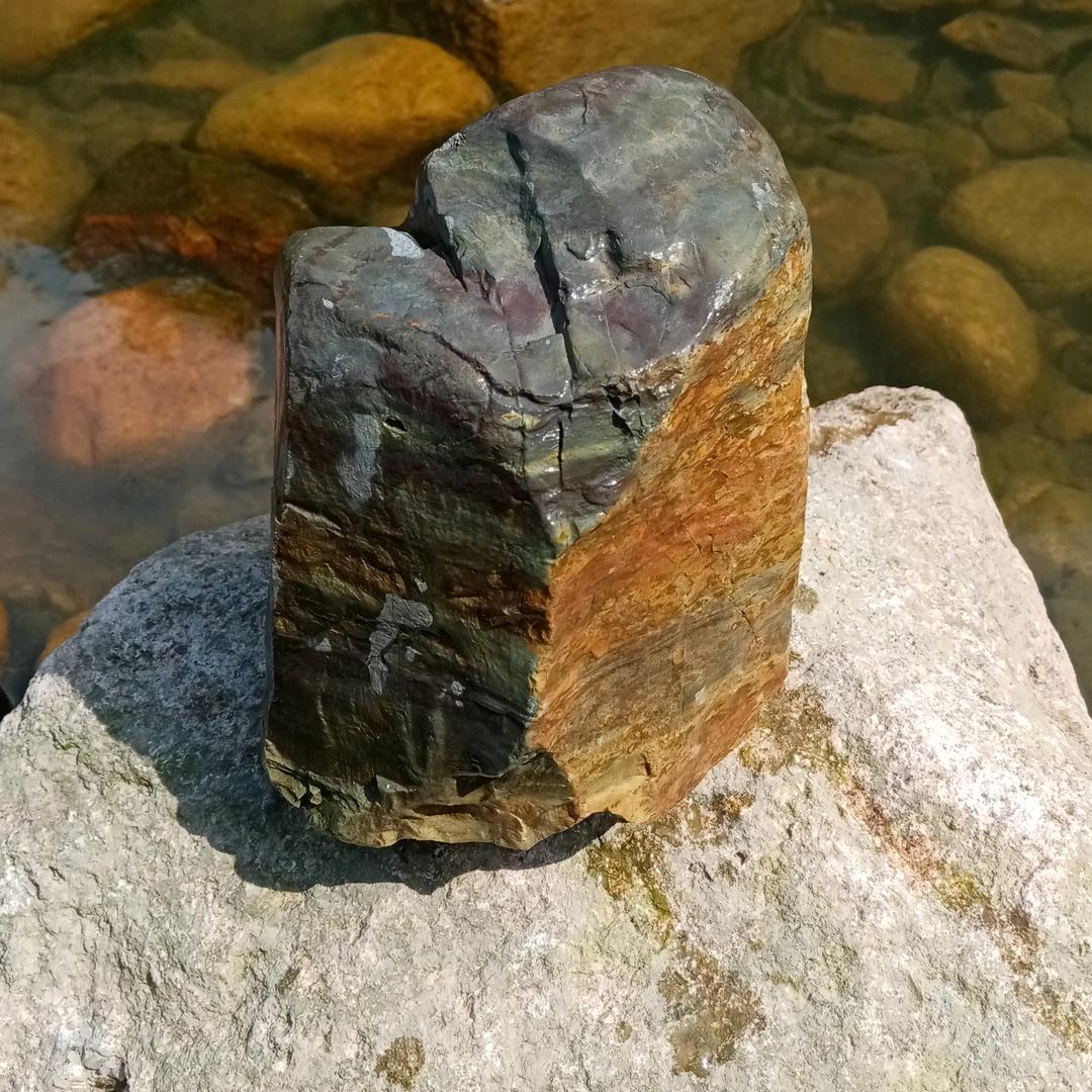 永不言败