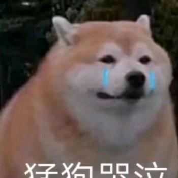 尼古拉斯฿狗蛋