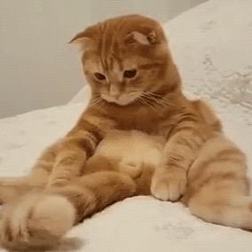 盼超家居旗舰店