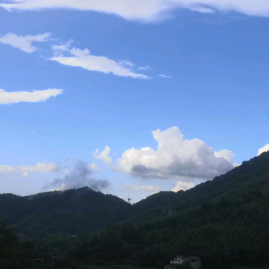 康康