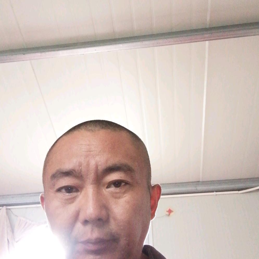 张平