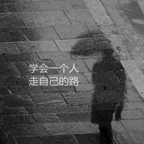 @杨先生(🚀)