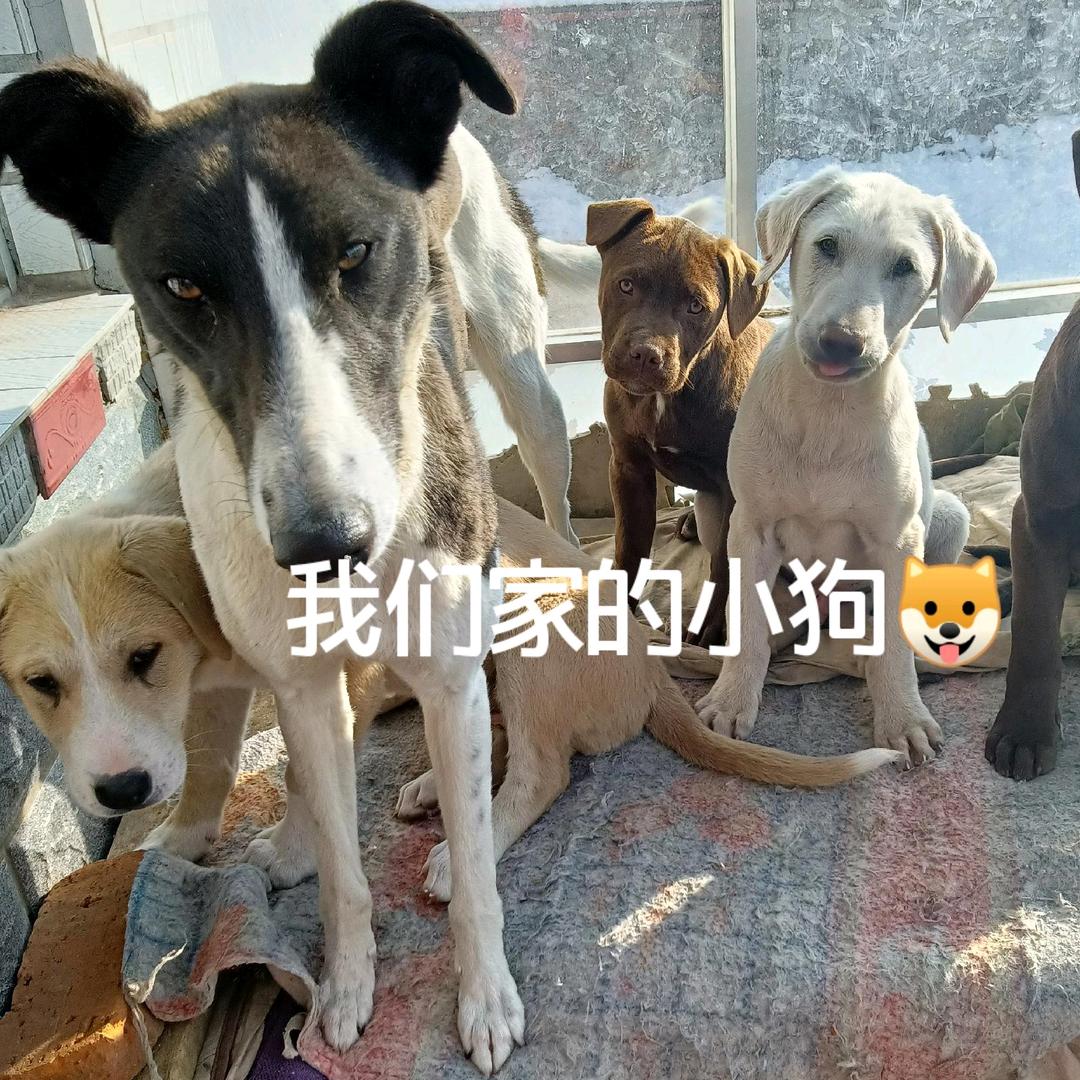 相识就是缘分