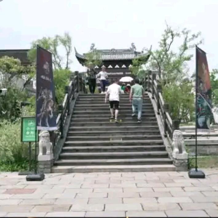 虎