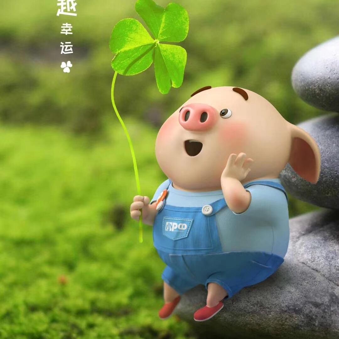 张族