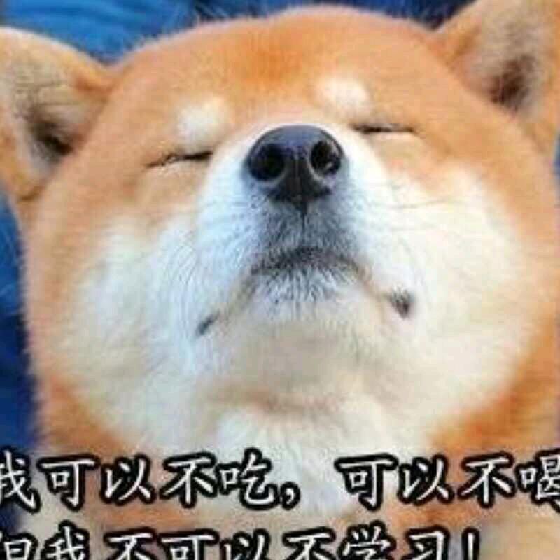 123