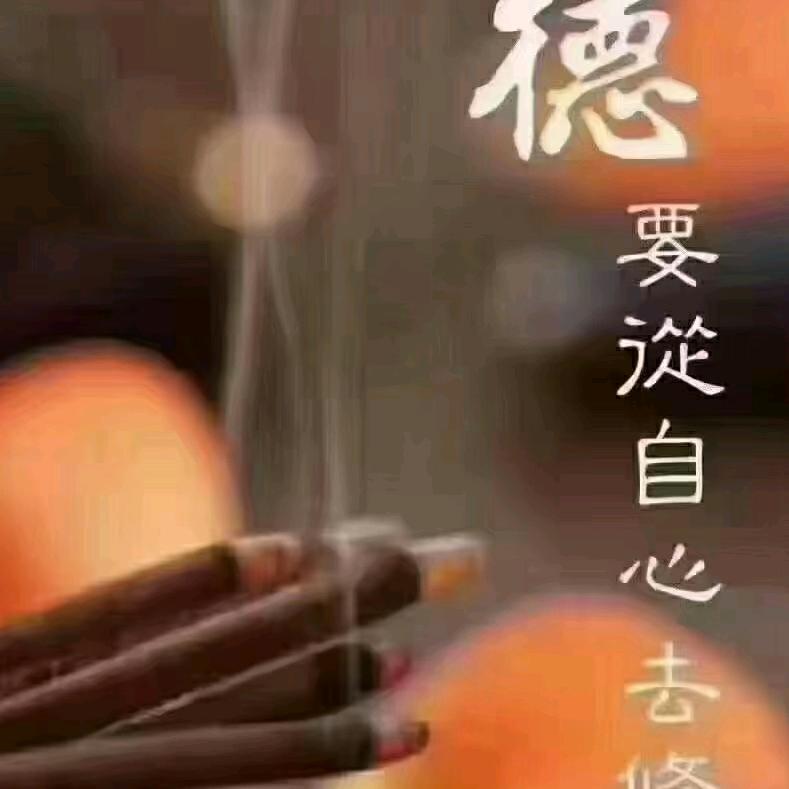 紫贝壳