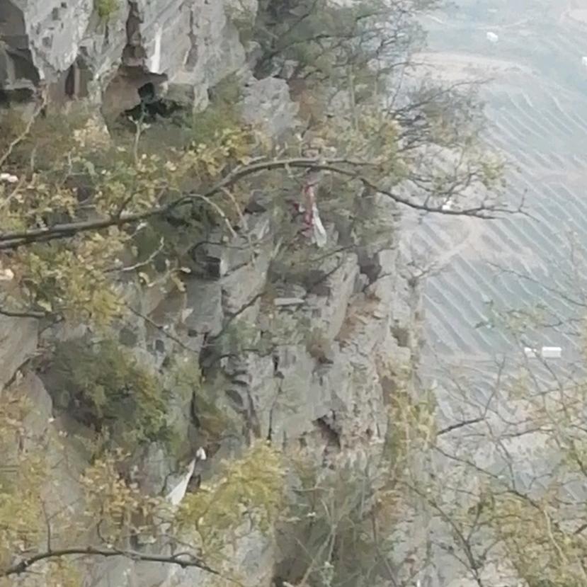 王子怀