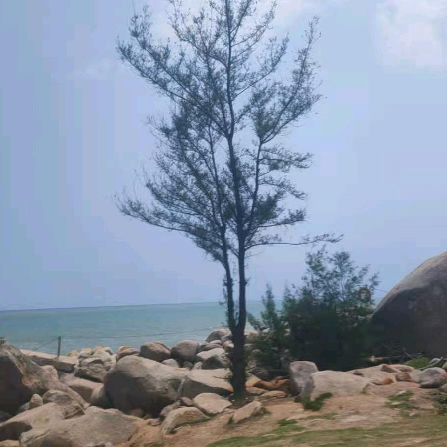 胡妈妈