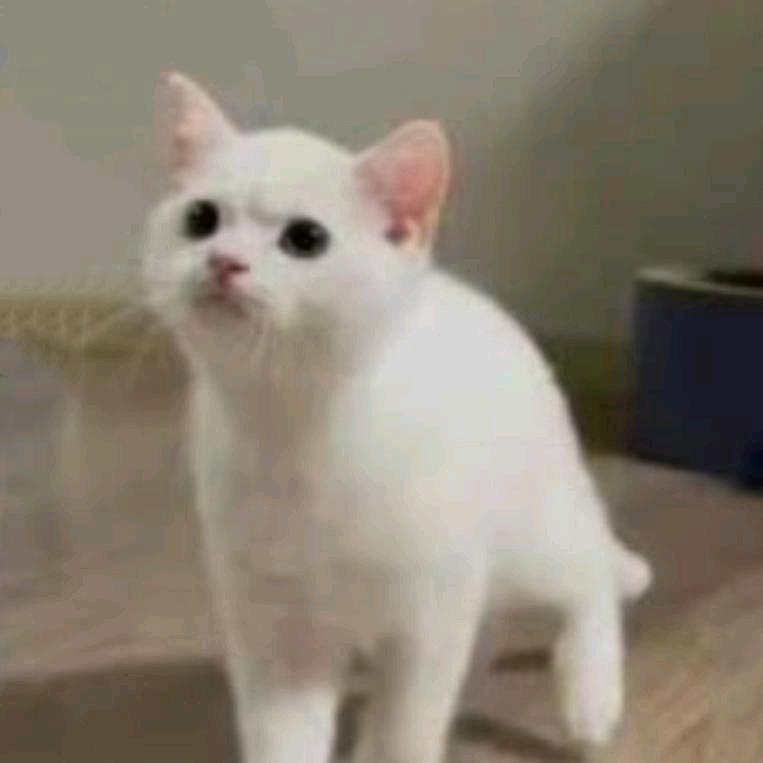 Talos