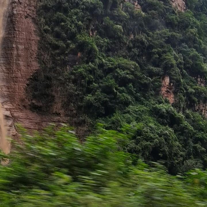 唐洪席