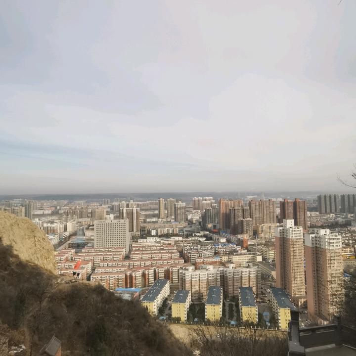 风有信  花不误