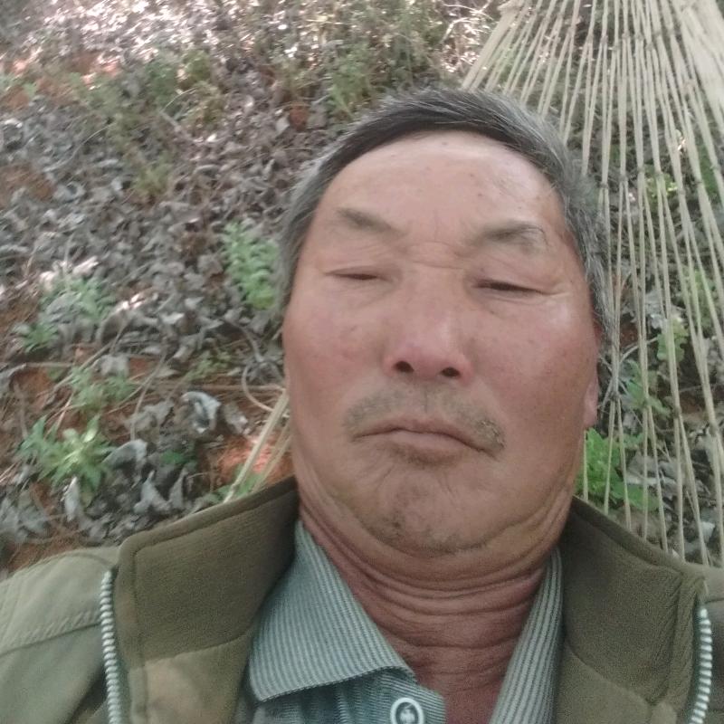 冯家大爷