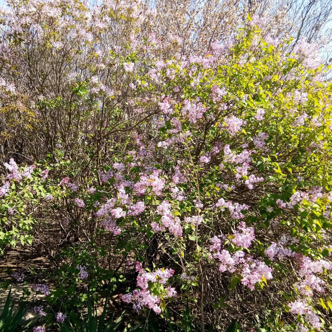 清风拂面-水波荡漾