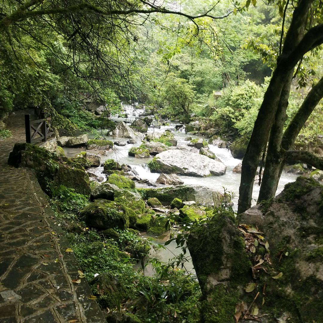 襄阳李