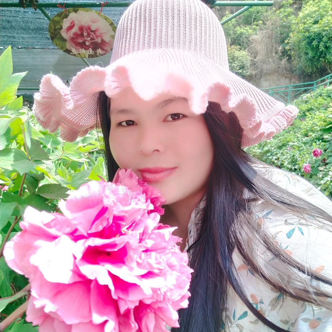 💫議羲