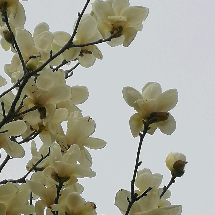 天天开心〔拒绝私聊〕