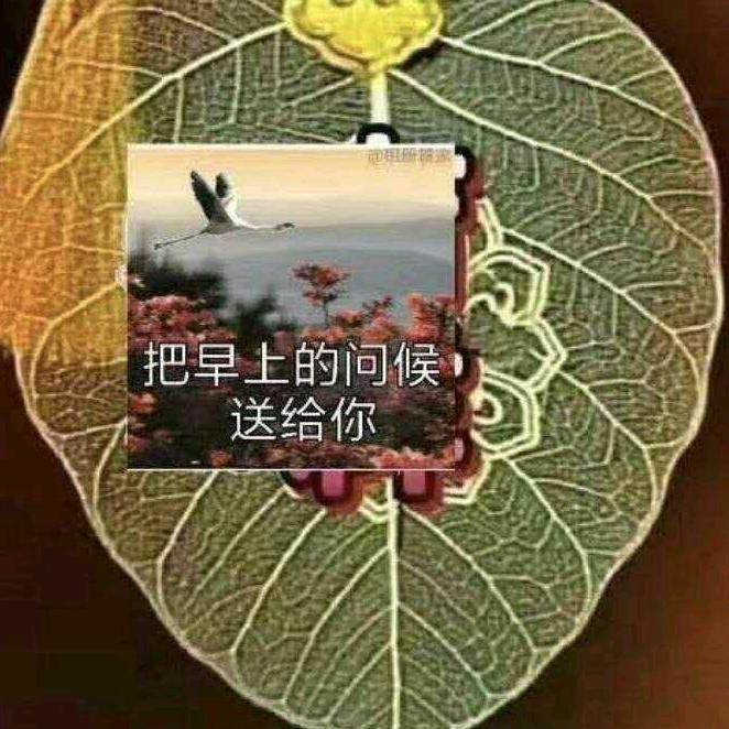 用户633591104767