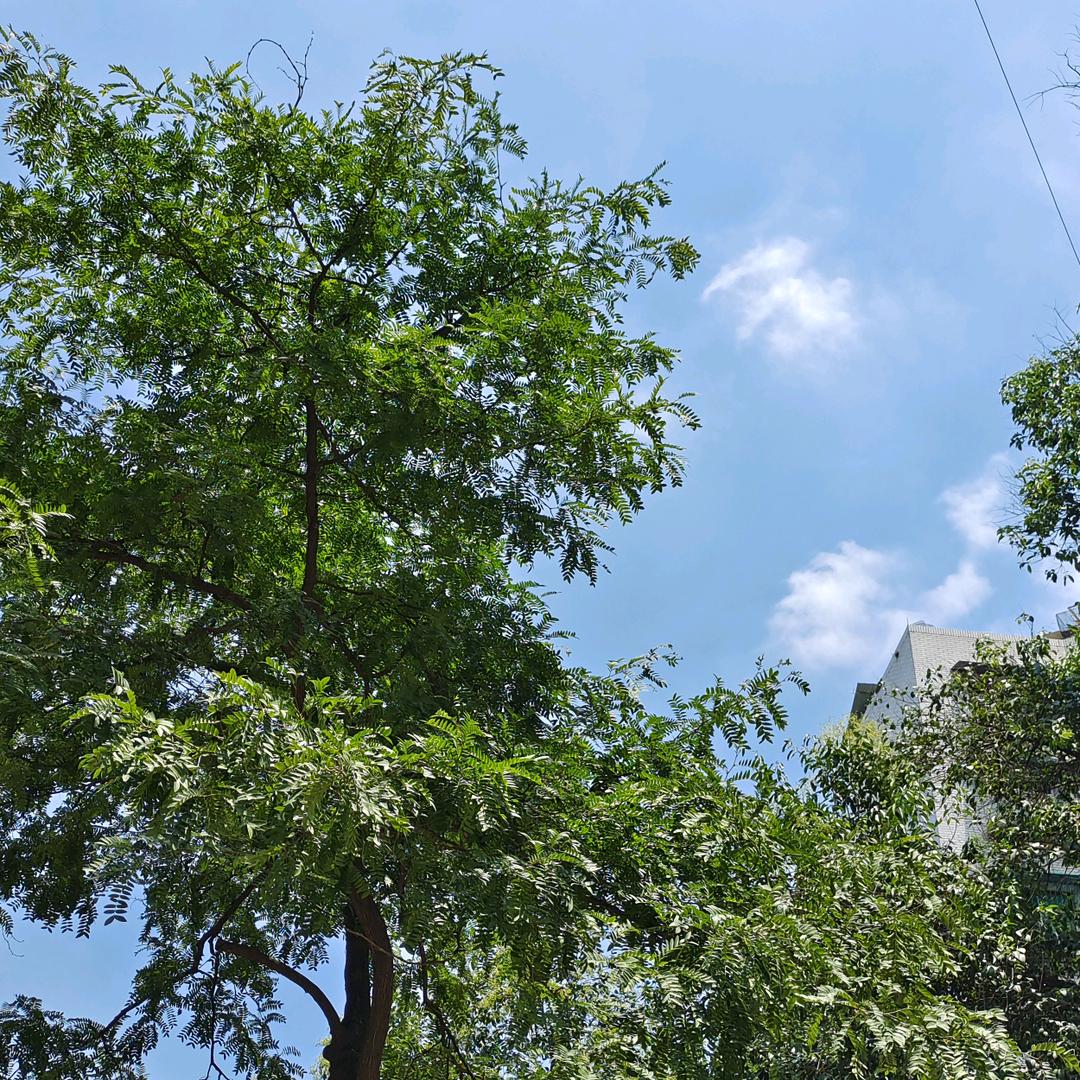 爱吃果醬的草莓。记录生活#陪女儿一起成长