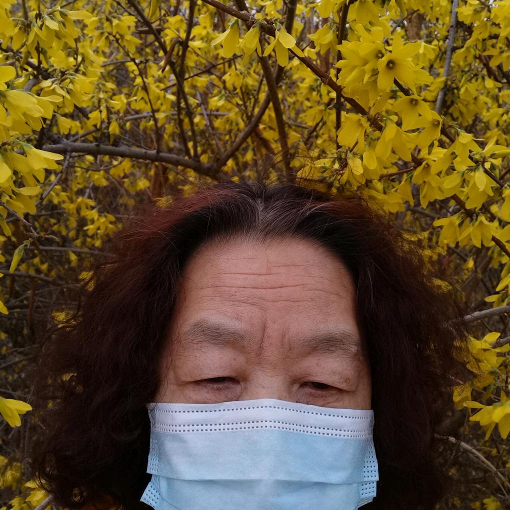 雨季