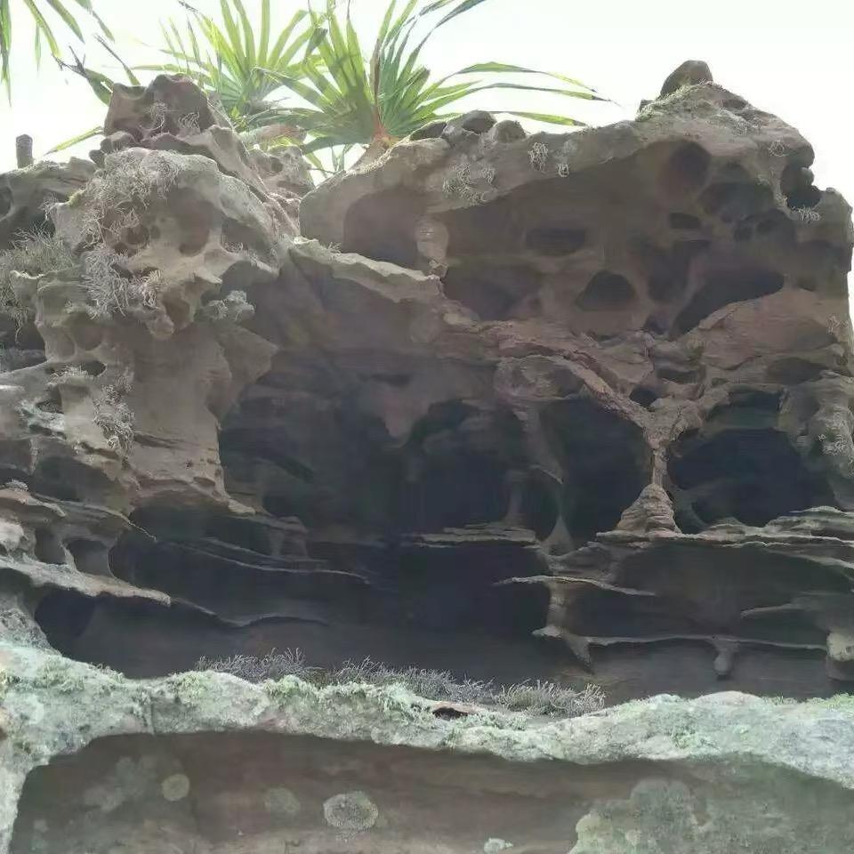 剥了皮的鸡蛋