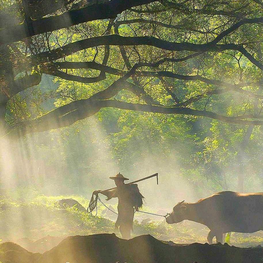 塔拉惠执壶侠士