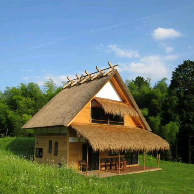 襄阳移动厕所大王日常