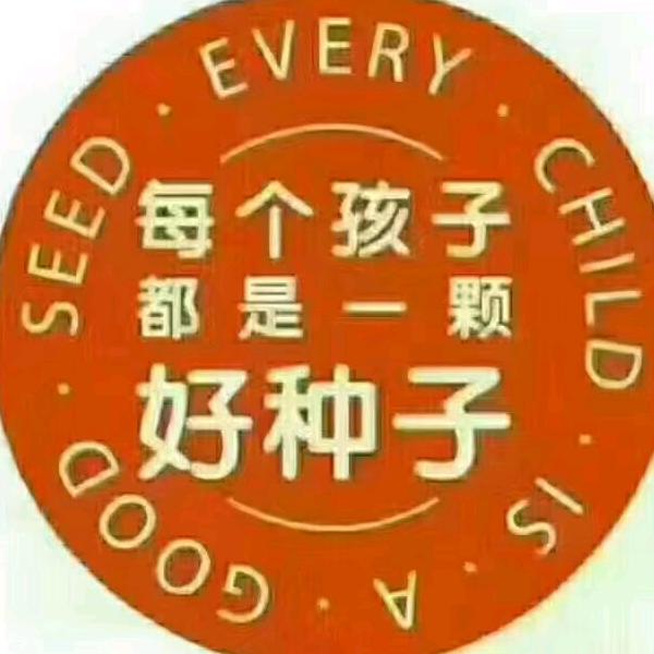 灰姑娘5019