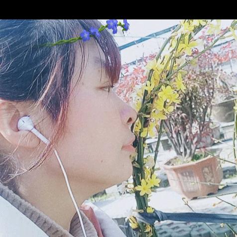 落叶轻浅