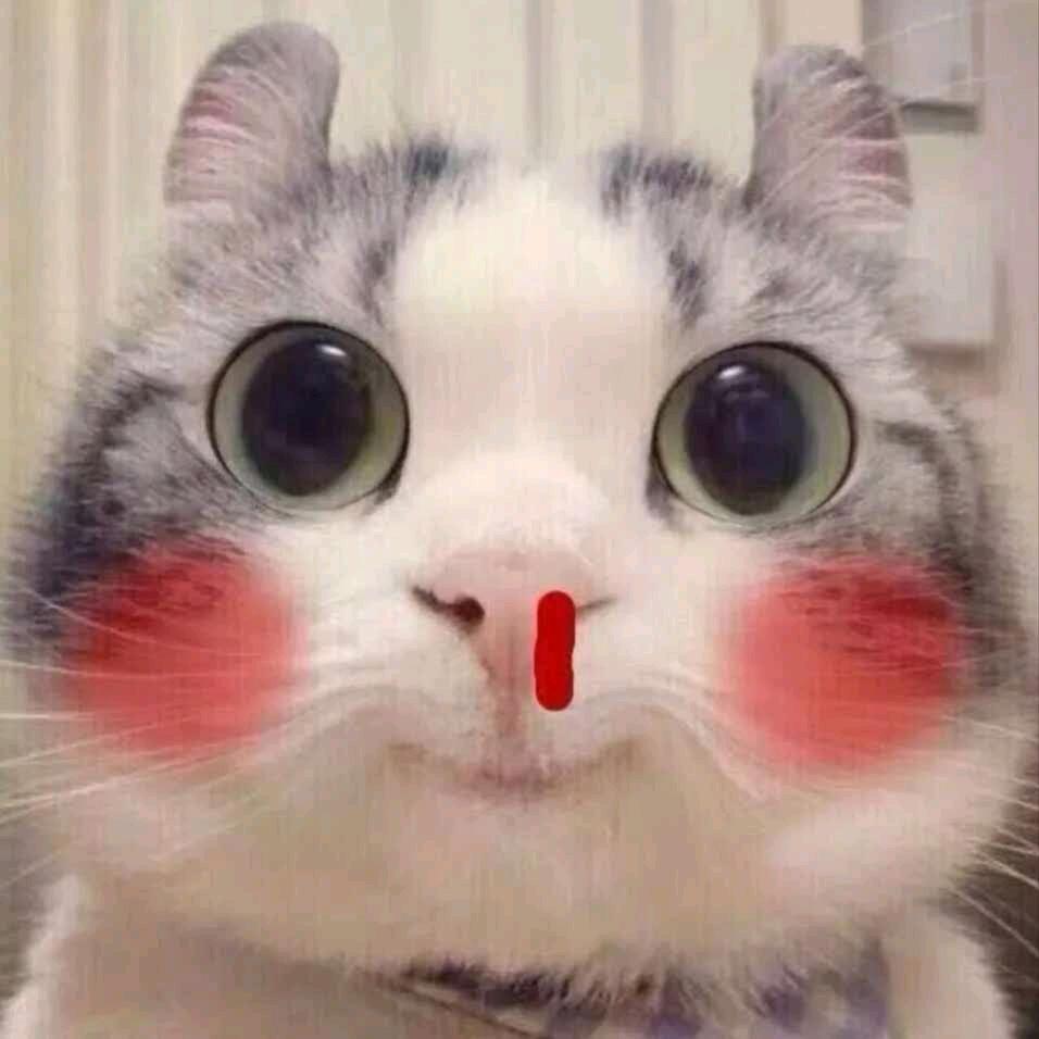 大喵嗷呜嗷呜嗷呜