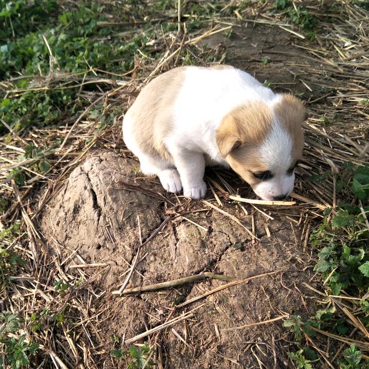 镜风白云