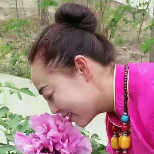 景泰枫林锅庄舞协会～林姐